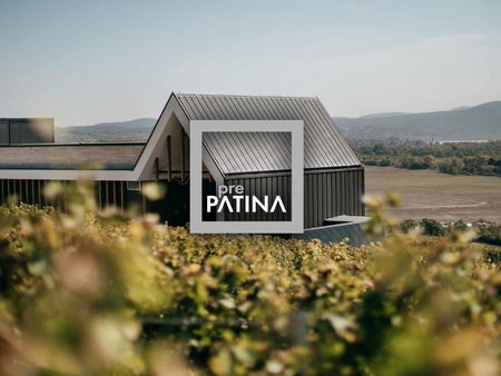 prePATINA: jedyna na świecie naturalna powierzchnia z samoodbudowującą się patyną prePATINA: jedyna na świecie naturalna powierzchnia z samoodbudowującą się patyną