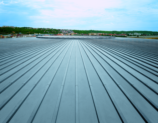 Hala wielofunkcyjna Hala wielofunkcyjna