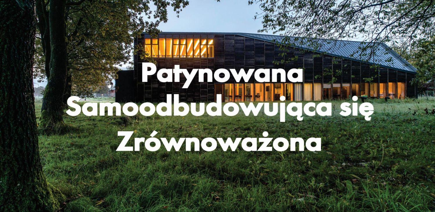 Patynowana samoodbudowująca sie zrównoważona prePATINA_ECO ZINC