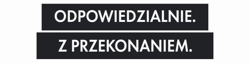 Think for the Future - RHEINZINK dla dekarzy