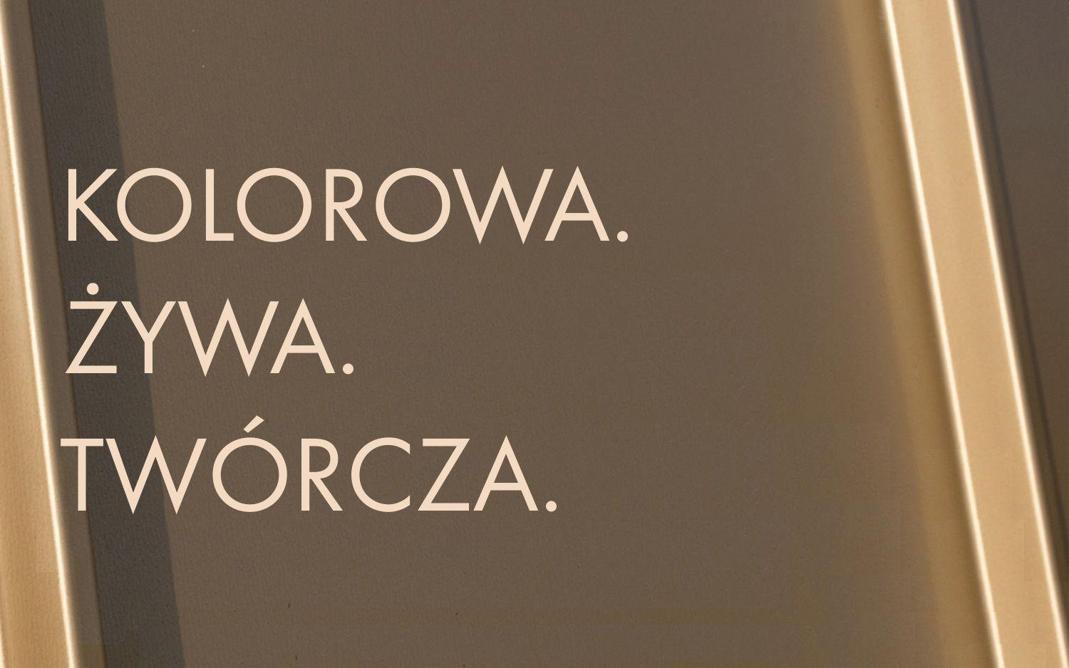 RHEINZINK-artCOLOR - kolorowa odmiana tytan-cynku